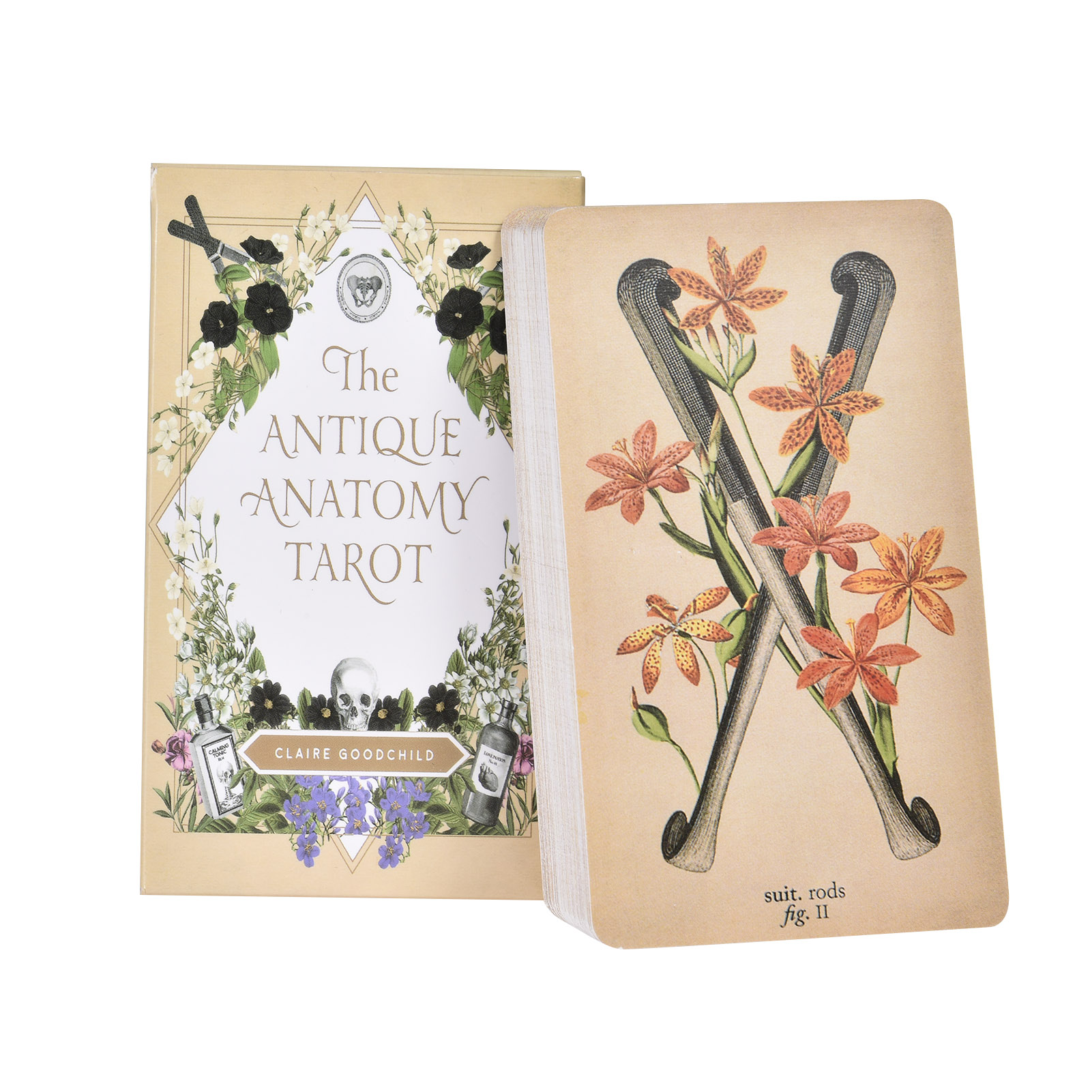 Board Game Pdf - Kartu Tarot Anatomi Antik Versi Inggris,